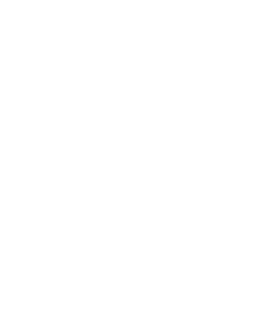 ChempionWhite