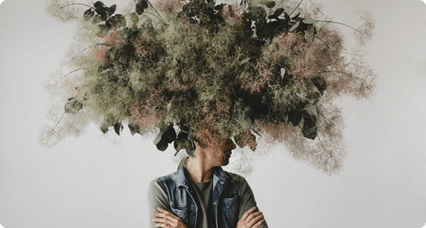 TreeMan